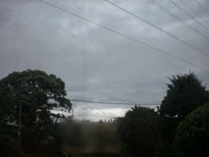 c0153444_728219.jpg