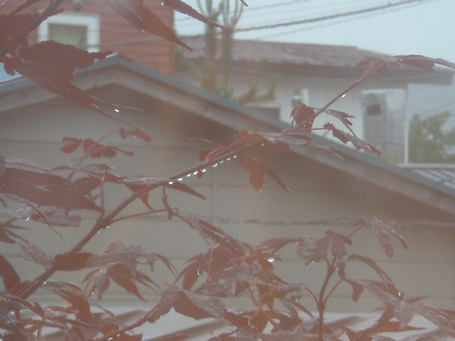 c0153444_731489.jpg