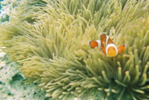 c0119649_23225517.jpg