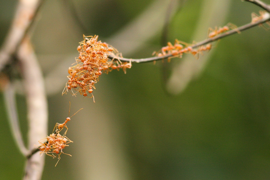a0094850_21323257.jpg