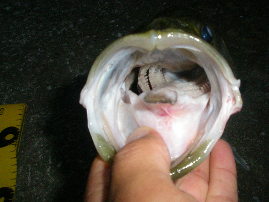f0150151_20251050.jpg