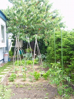 e0004756_22113013.jpg