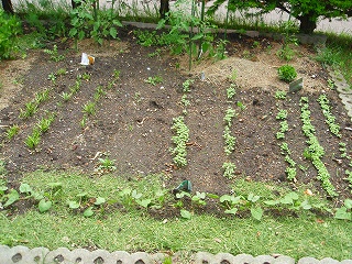 e0004756_22131826.jpg