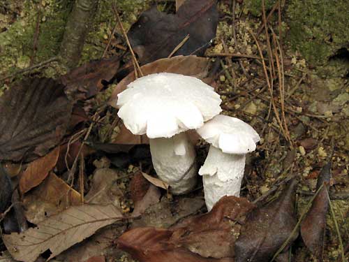 f0007956_19131726.jpg