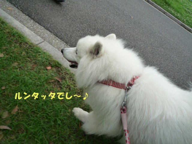 e0176159_1254513.jpg