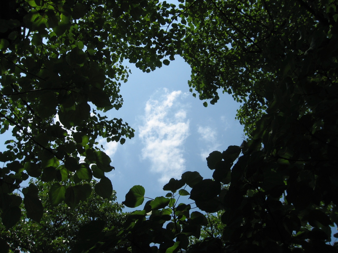 e0159865_1354051.jpg