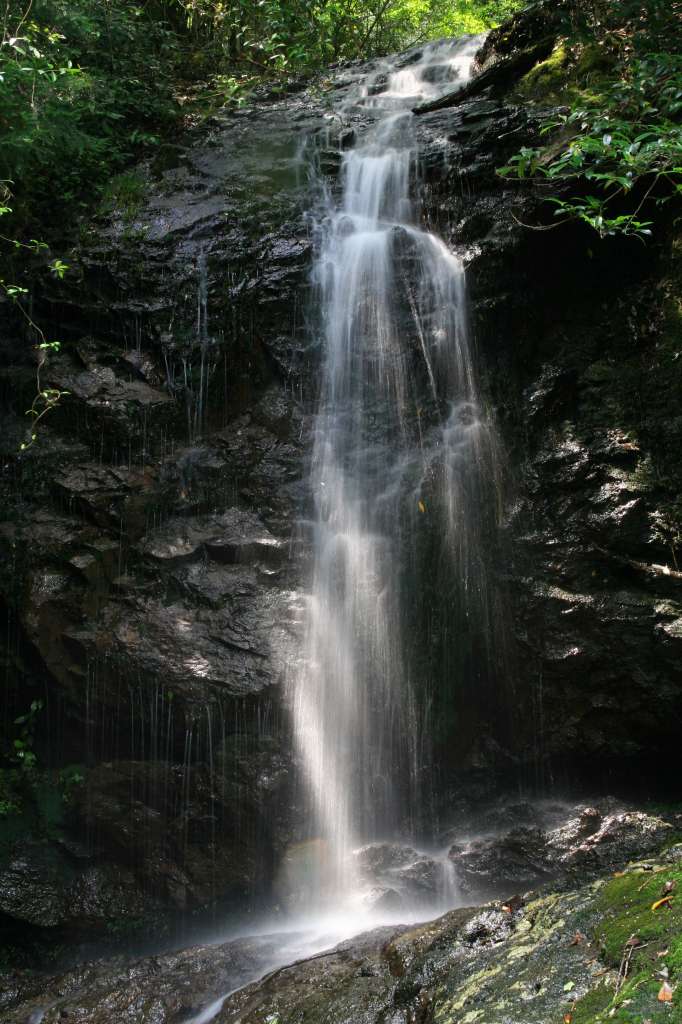 c0185066_8264656.jpg