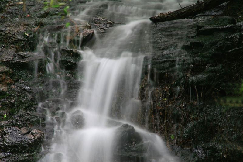 c0185066_8303419.jpg