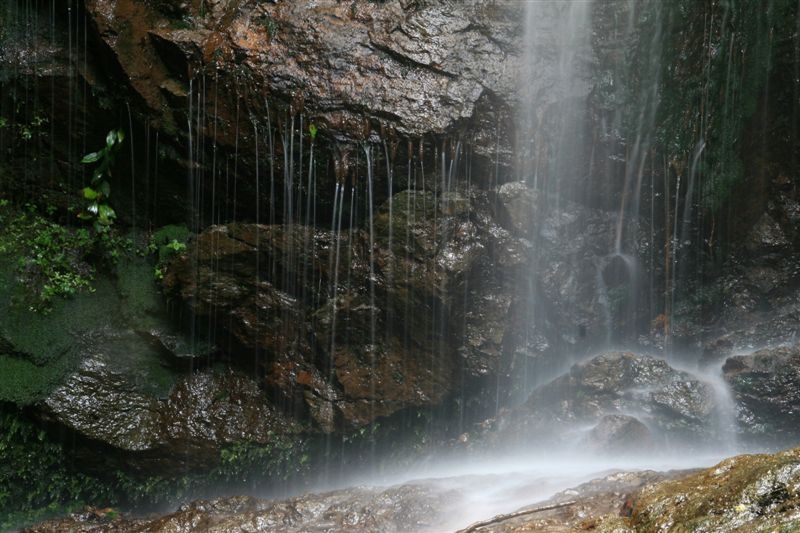 c0185066_831198.jpg
