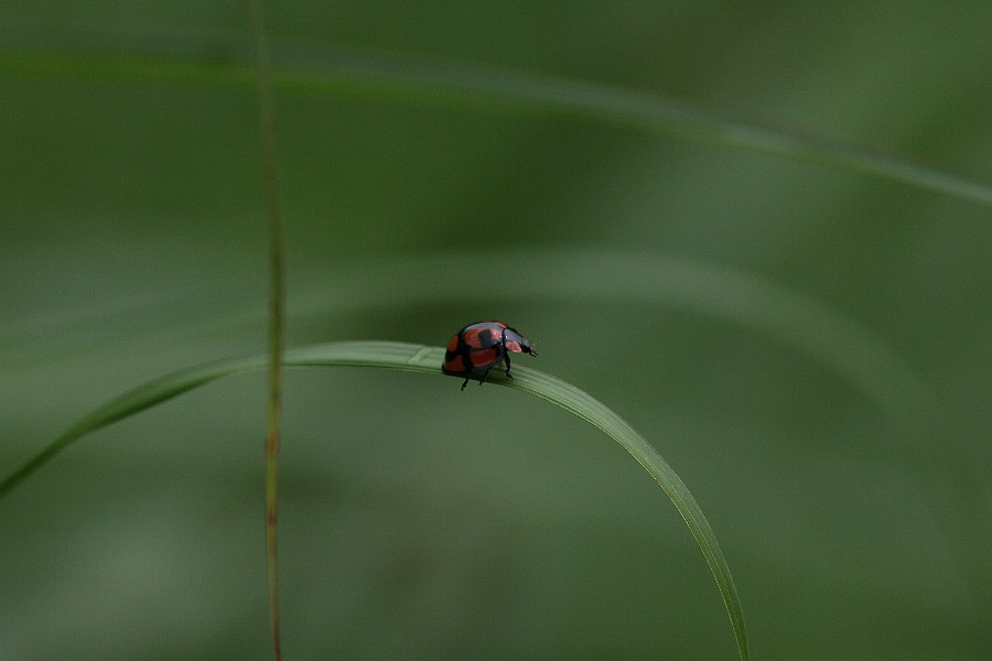 b0084270_22162776.jpg