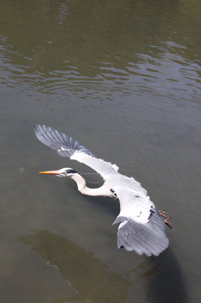 b0055171_21132390.jpg