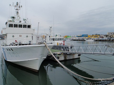 b0004675_2193830.jpg