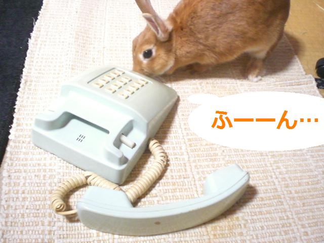 d0134977_12542338.jpg