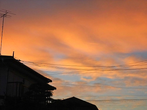 b0136381_985632.jpg