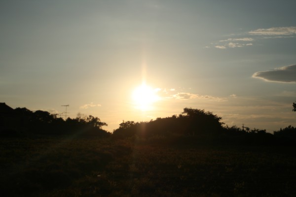 b0136683_1004344.jpg