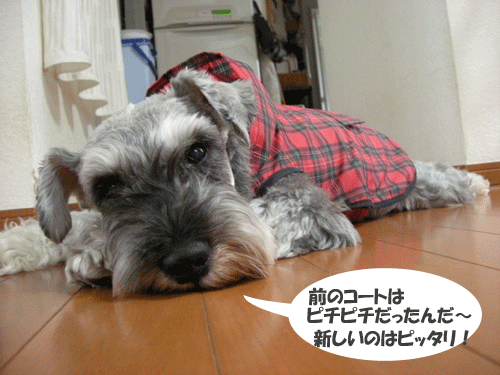 e0066883_235528.gif