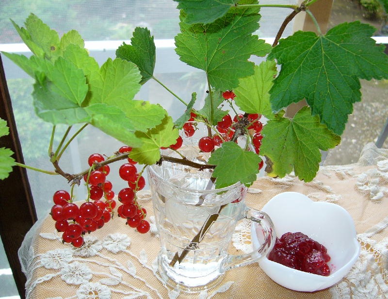 c0168584_2222652.jpg