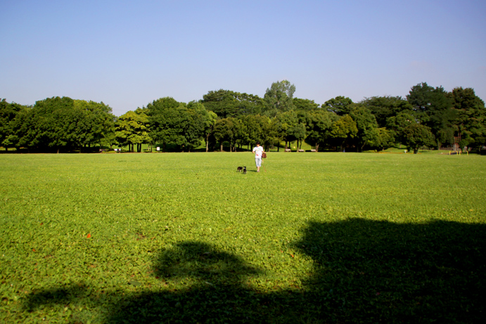 d0151787_15535913.jpg