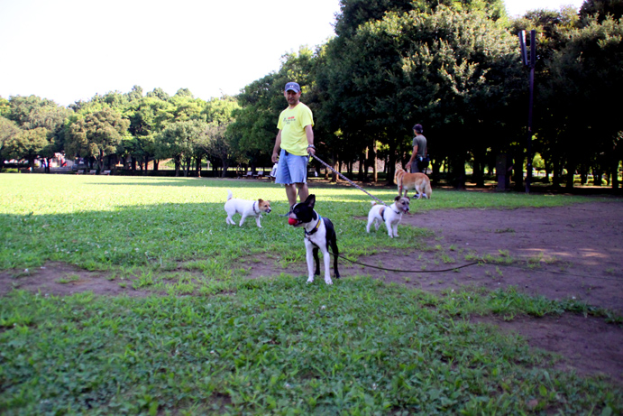 d0151787_1555153.jpg