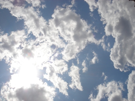 f0138588_1011557.jpg