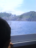 d0137890_163295.jpg