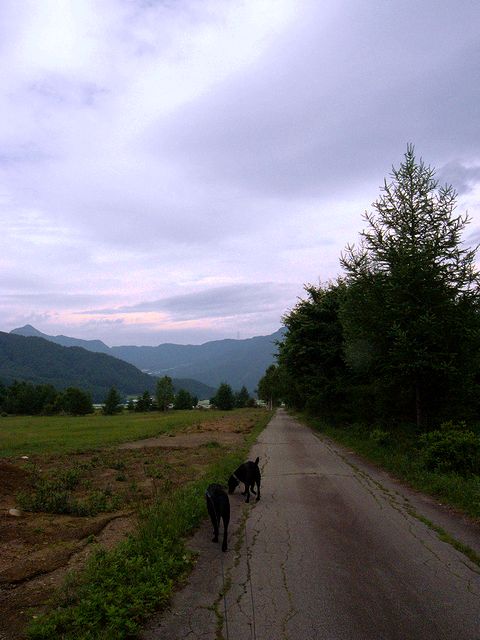 a0093592_23163117.jpg