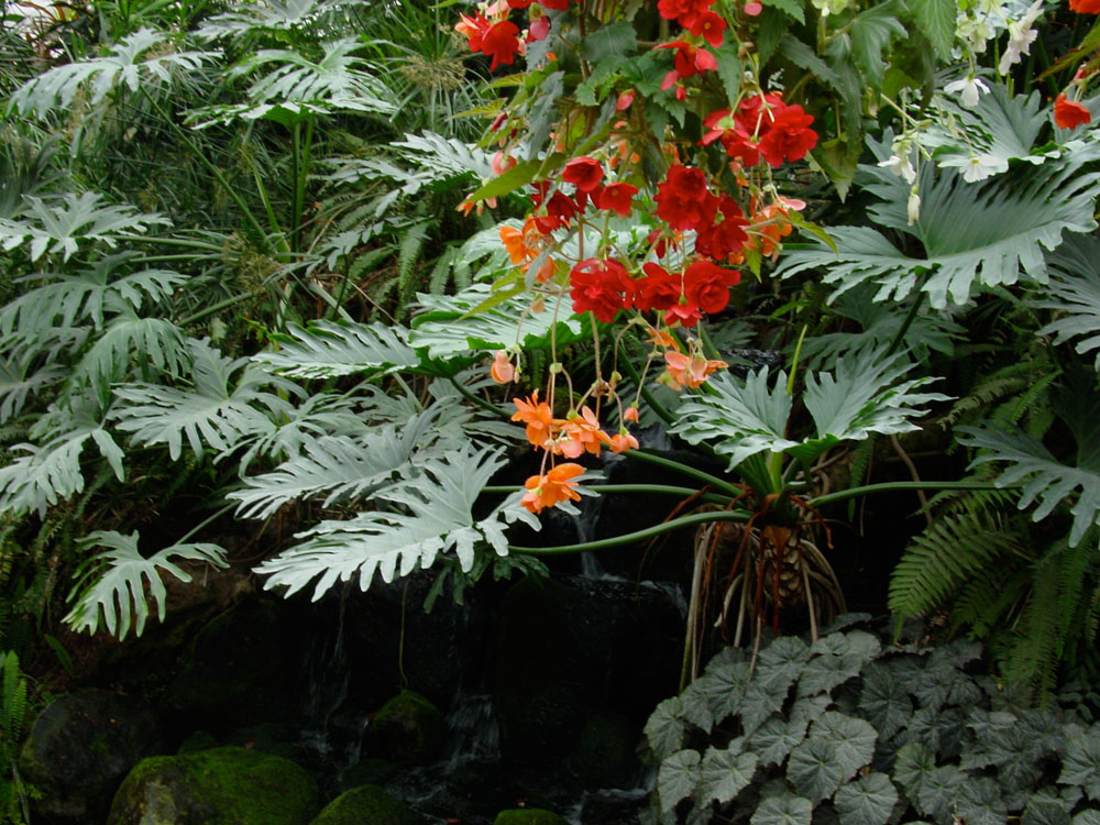 f0038892_23374451.jpg