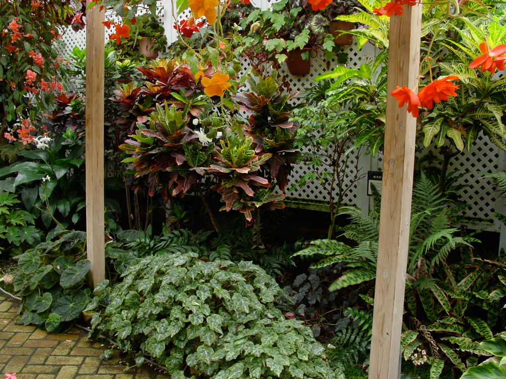 f0038892_2339215.jpg