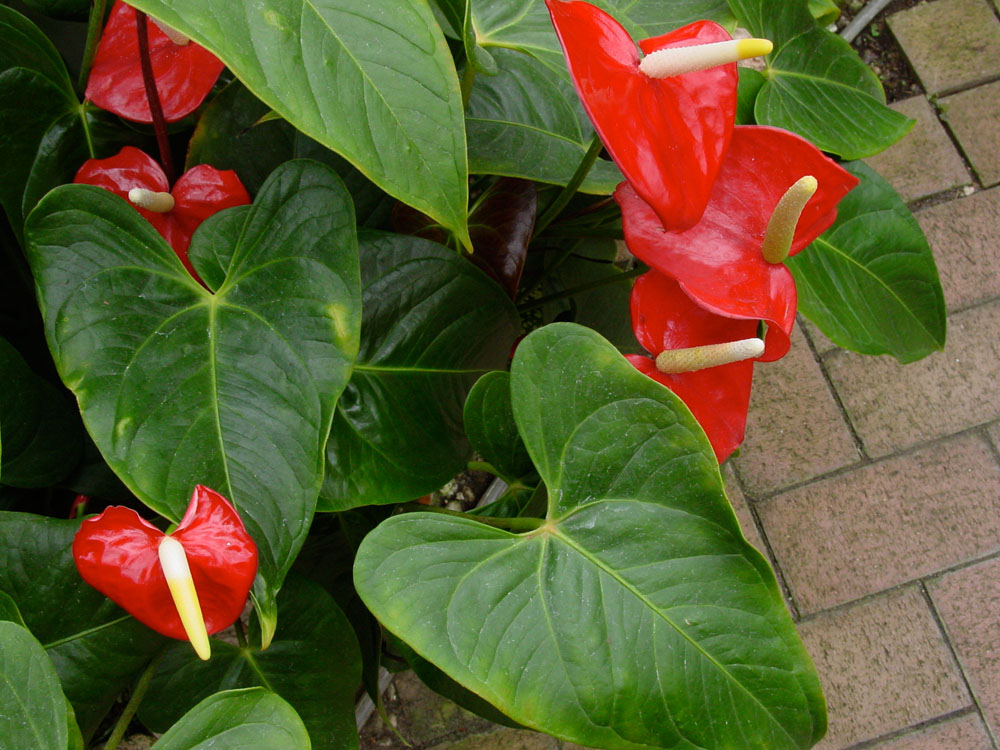 f0038892_23413789.jpg
