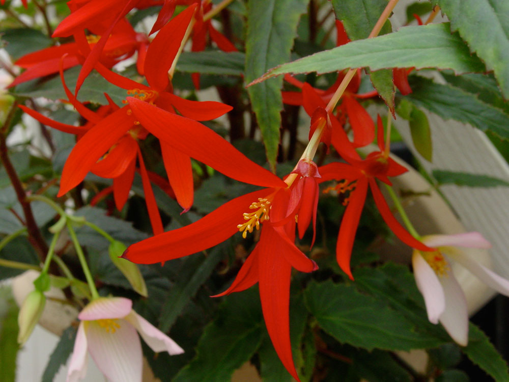 f0038892_23422023.jpg