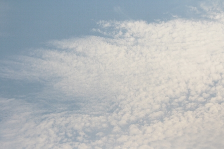 d0133693_2164752.jpg