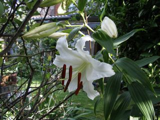 f0130894_2203357.jpg