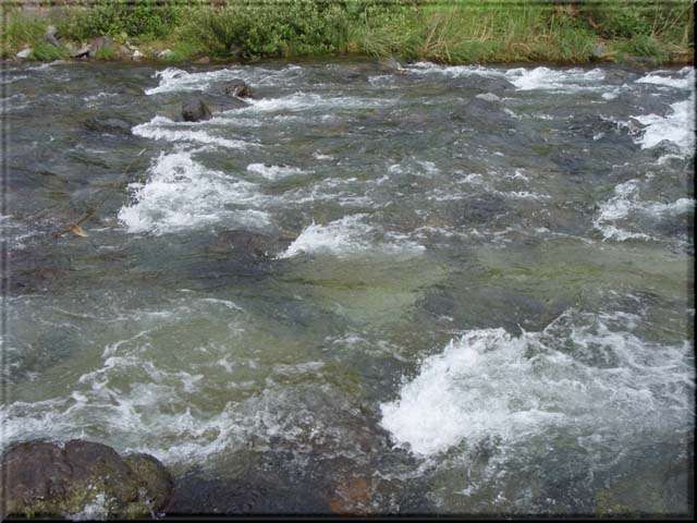 a0043395_20573754.jpg