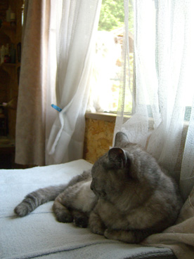a0045697_1257398.jpg