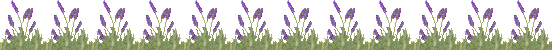 f0201297_20581733.gif
