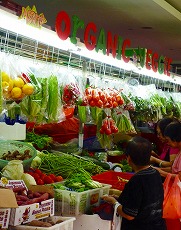 c0148705_2031201.jpg