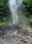 b0072207_6261978.jpg