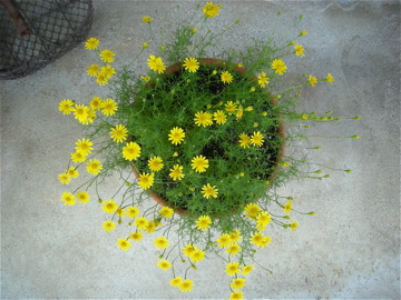 c0145209_0251498.jpg
