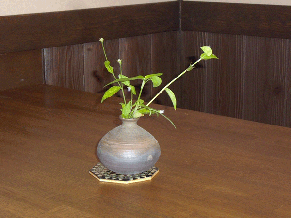 b0159611_2136104.gif