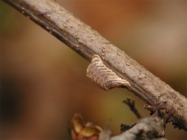 f0181821_1714269.jpg
