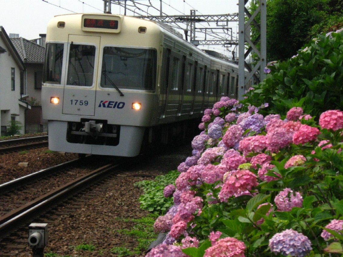 d0044222_22255533.jpg