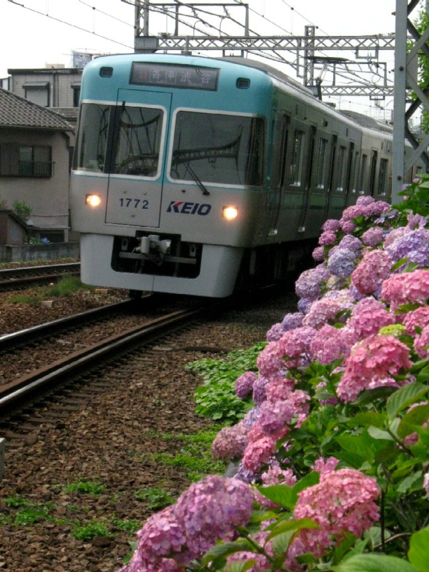 d0044222_22525046.jpg