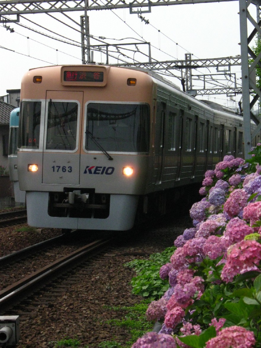 d0044222_22542157.jpg