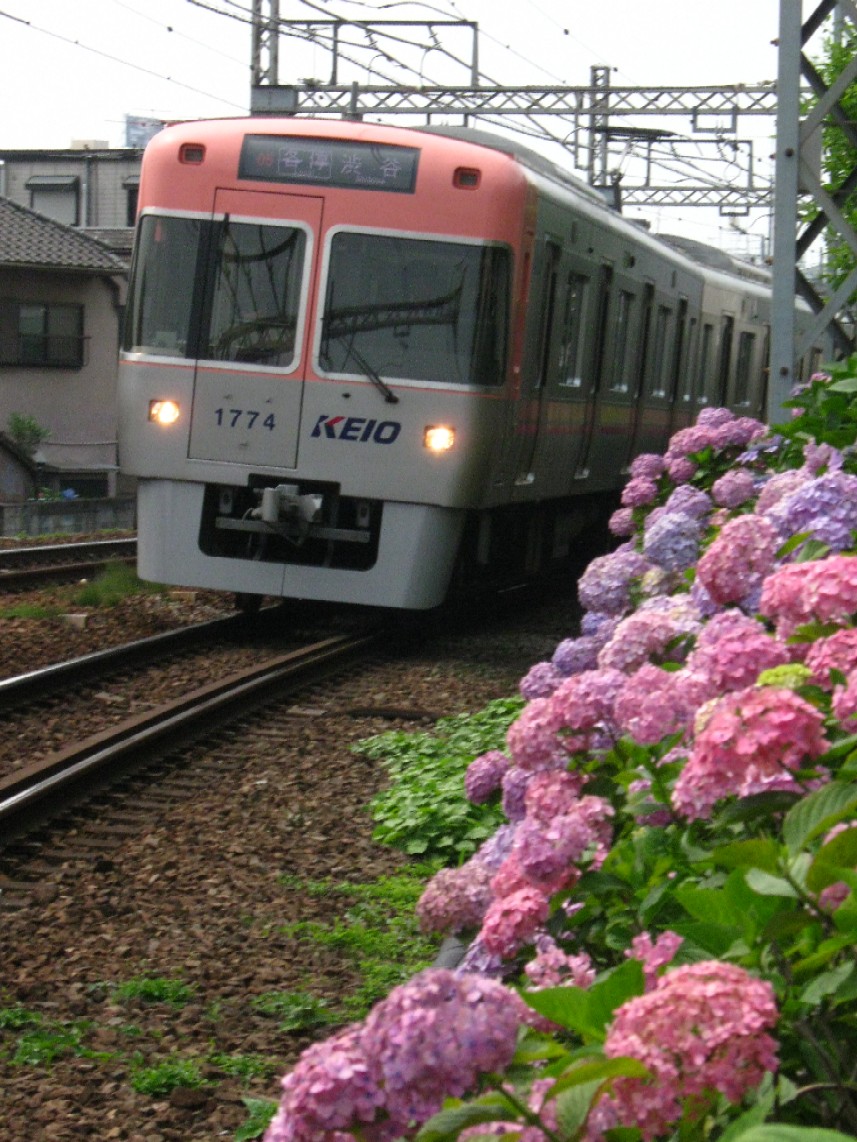 d0044222_22552569.jpg