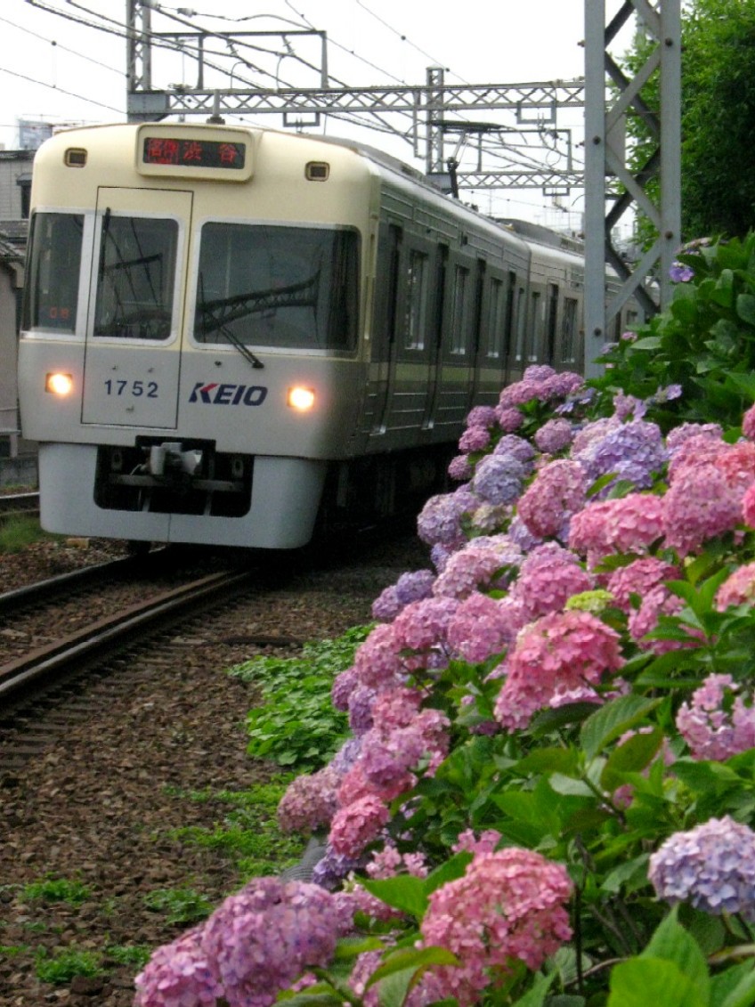 d0044222_2312149.jpg