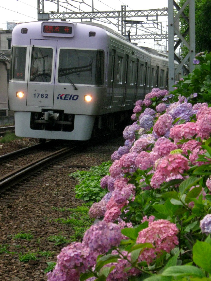d0044222_236714.jpg