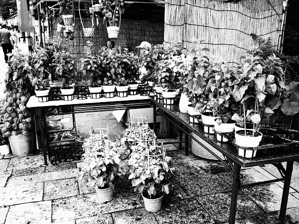 c0109827_2130937.jpg