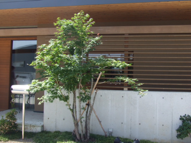c0110930_2318659.jpg