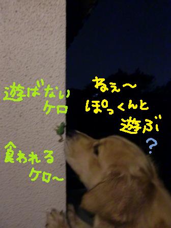 f0176830_21372195.jpg