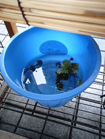 d0048332_844192.gif